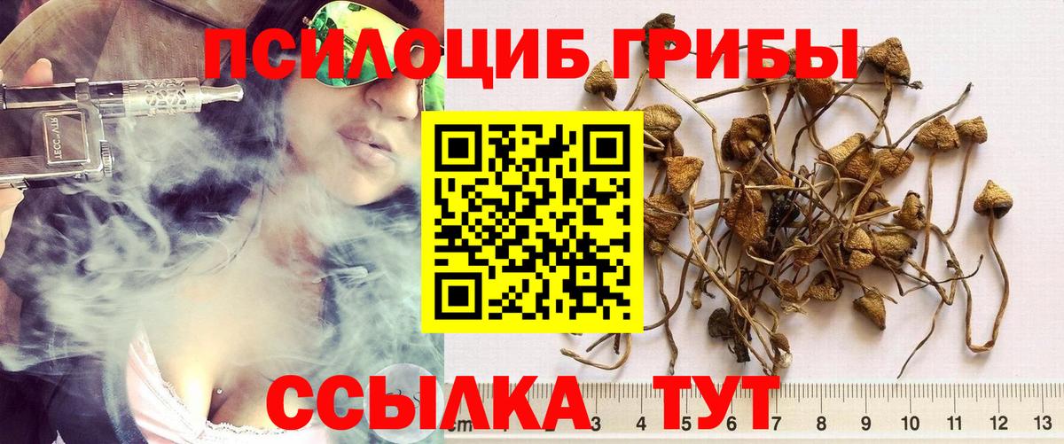 Псилоцибиновые грибы Magic Shrooms  Вход с VPN  Асино 